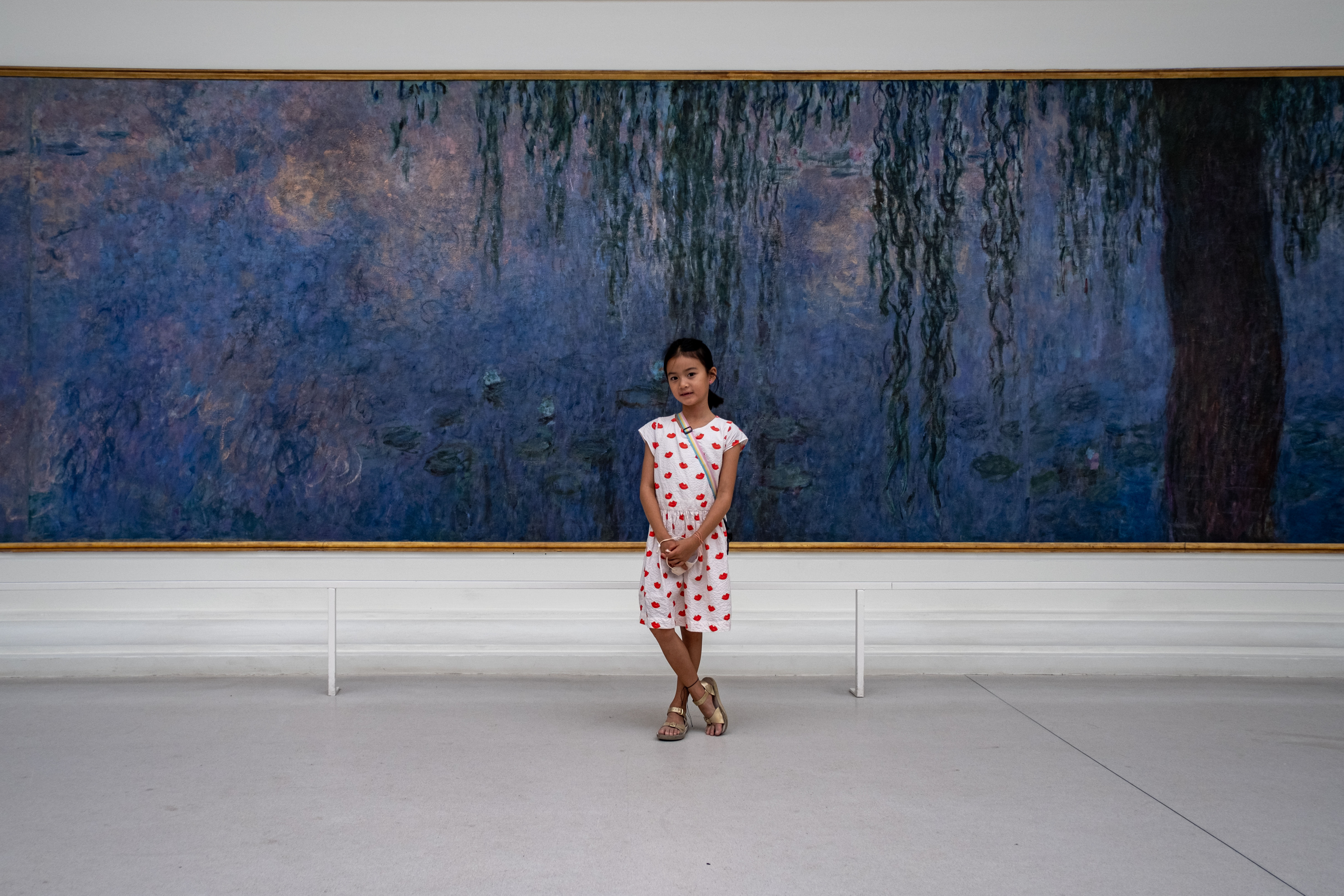 Discovering Monet
